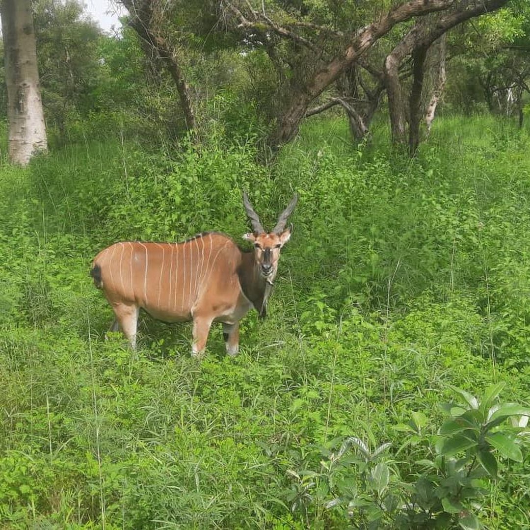 bok_square_1080 bok_square_1080